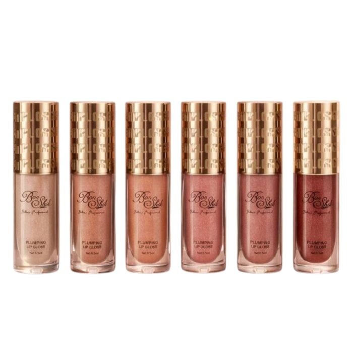 LIP GLOSS COLOR BONSHIK REF:BS-430